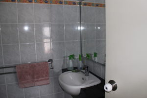 ensuite before renovation taylord